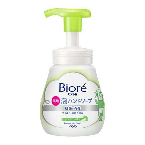 Kao Japan Foaming Hand Soap – Moisturizing Family Care Series