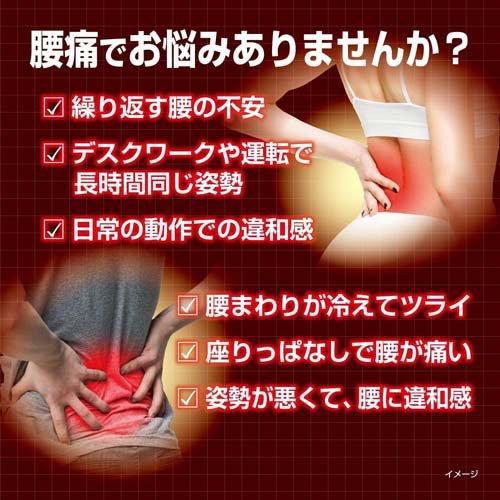 Kobayashi Heat Pad For Back Pain (10PCS)