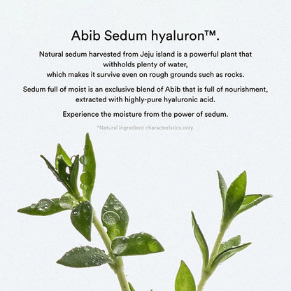 Abib Moisture Herbal Gel Mask 10pcs